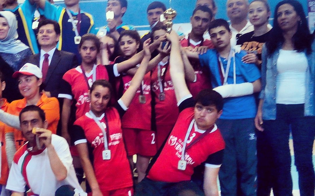 2014 Bodrum Türkiye Voleybol Şampiyonası